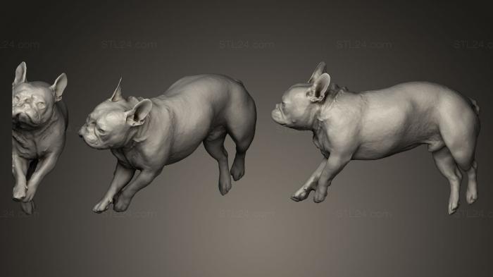Animal figurines (DOG B9, STKJ_0235) 3D models for cnc